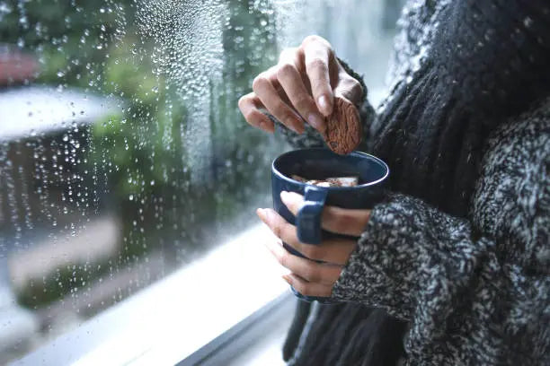 The aestheticization of Disaster - the “Beautiful Rain”
