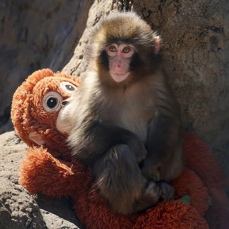 Punch has found love and i am still single