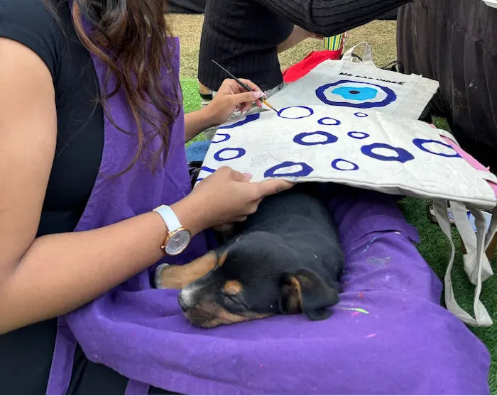 Furry Muses in the Studio